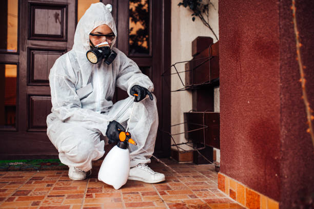 Attic and Crawl Space Rodent Treatment in Palestine